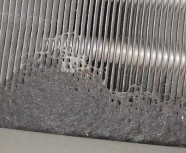 LG전자의 ‘듀얼 인버터 히트펌프’ 의류건조기 콘덴서 부분에 먼지가 끼어 있는 모습. [‘엘지 건조기 자동 콘덴서 문제점’ 네이버 밴드 캡처]
