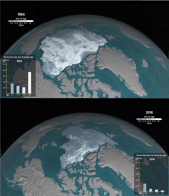 21세기말 북극에서 9월 쯤에는 '얼음이 없는 세상'이 될 것으로 예상된다. 북극 해빙은 갈수록 그 규모가 줄고 있다.[사진=NASA]