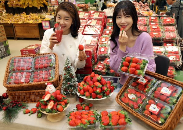 이마트가 판매하는 겨울 딸기 사진.