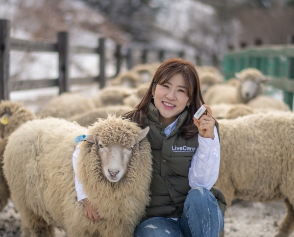 유라이크코리아 김희진 대표가 양떼 목장에서 양(羊) 전용 바이오캡슐을 선보이고 있다.