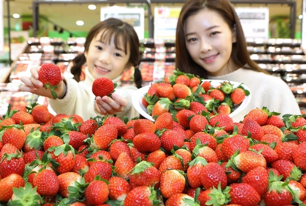 11일 오전, 롯데마트 서울역점에서 모델들이 국산 설향 딸기를 소개하는 모습.