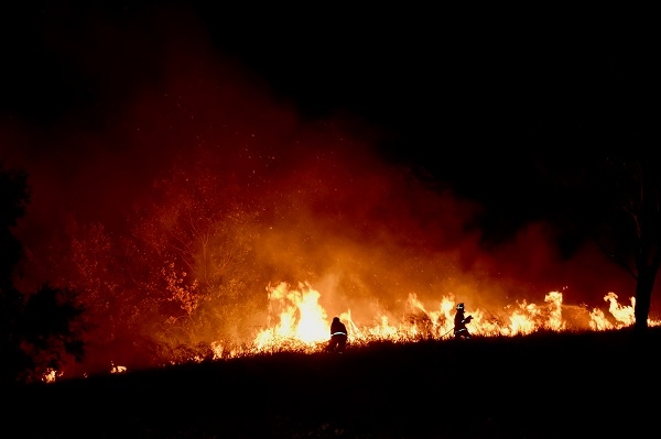 호주에 대형산불이 발생해 478명의 시민과 10억 마리 이상의 야생동물이 희생됐다.[사진=마켓포시즈]