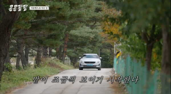 tvN 예능 프로그램 '콩콩팥팥' 방송 장면[사진=방송화면 캡처]