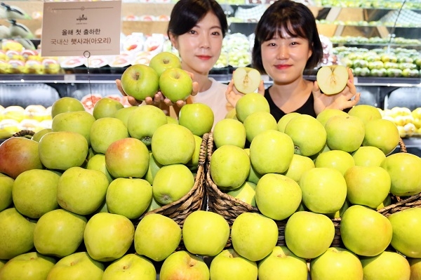 갤러리아 백화점 명품관 식품관인 '고메이494'에서 올해 처음으로 출하된 아오리 햇사과를 선보였다.