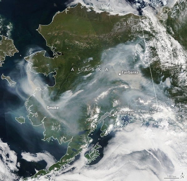 NASA 아쿠아 위성이 찍은 알래스카 산불. 긴 띠의 연기가 알래스카 지역을 뒤덮고 있다.[사진=NASA]