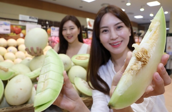 18일 오전, 롯데마트 서울역점에서 모델들이 '허니듀 멜론'을 소개하는 모습.