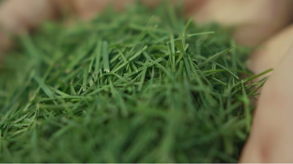 독일 제지업체 프플라이더러는 잔디풀을 원료로 한 종이를 개발해 독일 맥도널드에 공급한다. Image: McDoanld's Youtube campaign capture